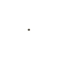 BOSCH F 00V H05 102 Dichtring, Einspritzventil