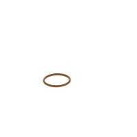 BOSCH F 00V P01 005 Dichtring