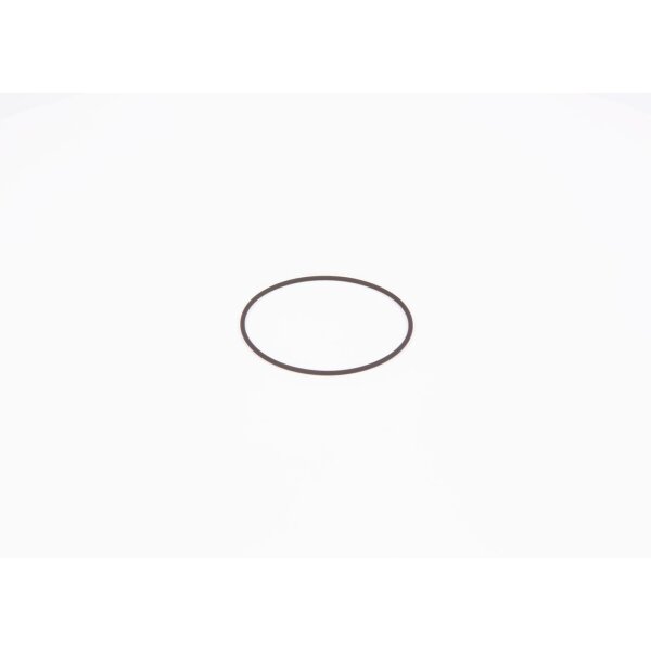 BOSCH F 01M 100 371 Dichtring