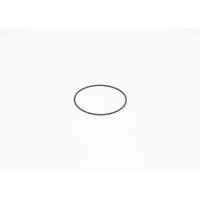 BOSCH F 01M 100 371 Dichtring