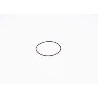 BOSCH F 01M 100 371 Dichtring