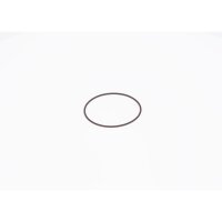 BOSCH F 01M 100 371 Dichtring