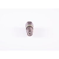 BOSCH F 01M 100 749 Ventil, Einspritzanlage