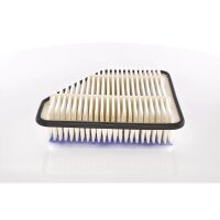 BOSCH F 026 400 171 Luftfilter