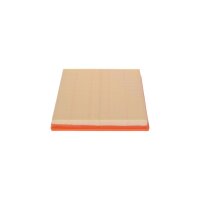 BOSCH F 026 400 236 Luftfilter