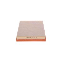 BOSCH F 026 400 244 Luftfilter
