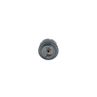 BOSCH F 026 407 099 Ölfilter