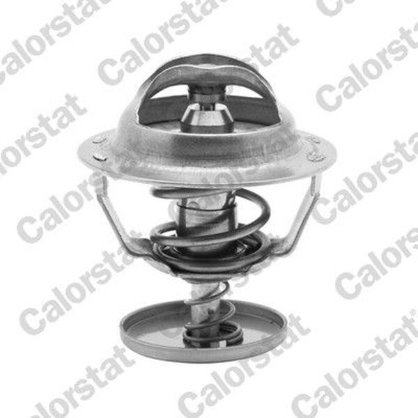 CALORSTAT by Vernet TH6838.82J Thermostat, Kühlmittel