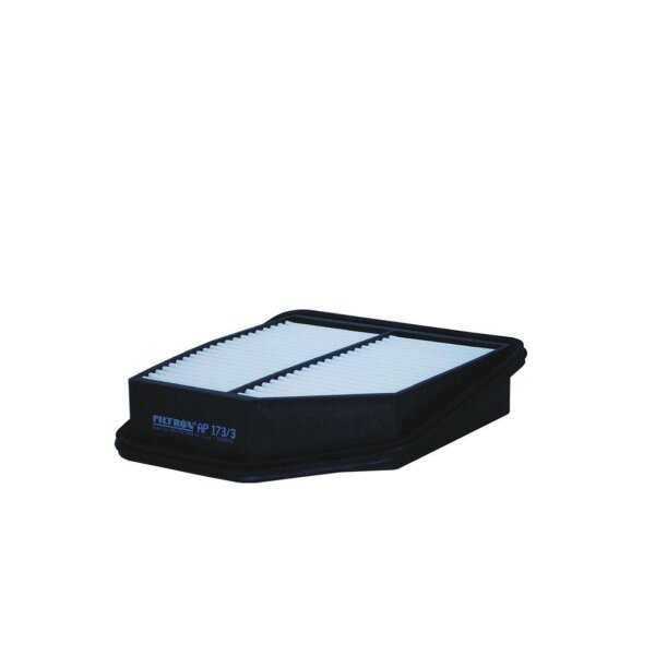 FILTRON AP 173/3 Luftfilter