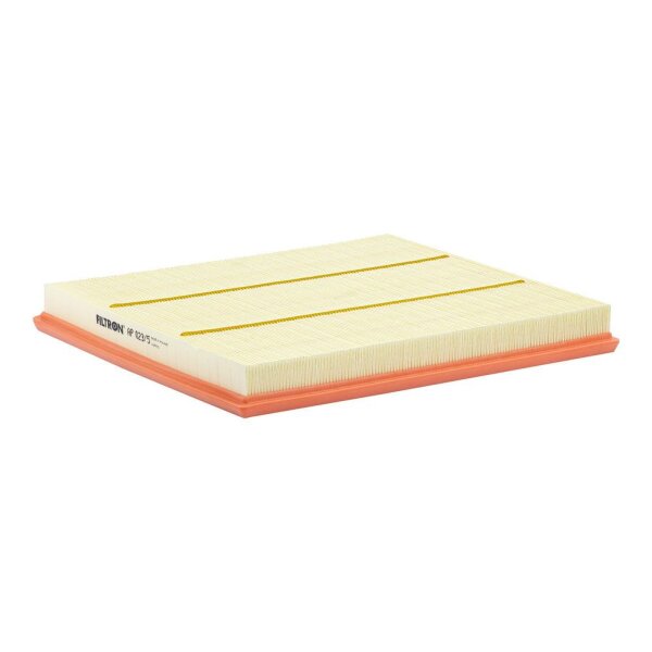 FILTRON AP 023/5 Luftfilter