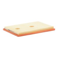 FILTRON AP 062/1 Luftfilter