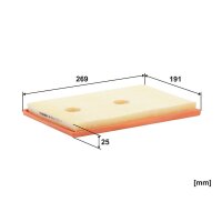 FILTRON AP 062/1 Luftfilter