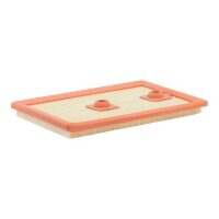FILTRON AP 062/1 Luftfilter