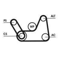 CONTINENTAL CTAM 6PK1019 ELAST T1 Keilrippenriemensatz