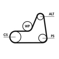 CONTINENTAL CTAM 6PK1042 ELAST T1 Keilrippenriemensatz