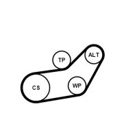 CONTINENTAL CTAM 6PK1045K1 Keilrippenriemensatz