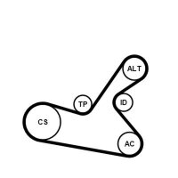 CONTINENTAL CTAM 6PK1125K1 Keilrippenriemensatz
