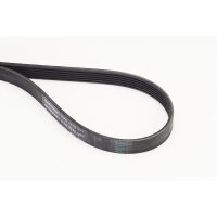 CONTINENTAL CTAM 6PK1173 Keilrippenriemen