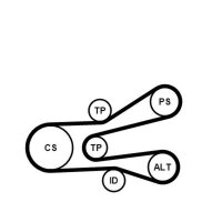 CONTINENTAL CTAM 6PK1440K1 Keilrippenriemensatz