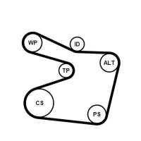 CONTINENTAL CTAM 6PK1555K1 Keilrippenriemensatz