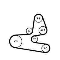 CONTINENTAL CTAM 6PK1564K1 Keilrippenriemensatz