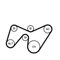 CONTINENTAL CTAM 6PK1642K2 Keilrippenriemensatz