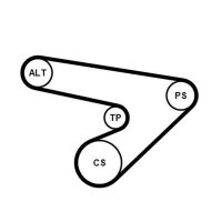 CONTINENTAL CTAM 6PK1725K1 Keilrippenriemensatz