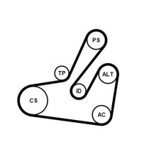 CONTINENTAL CTAM 6PK1795K2 Keilrippenriemensatz