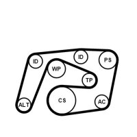 CONTINENTAL CTAM 6PK2260K1 Keilrippenriemensatz