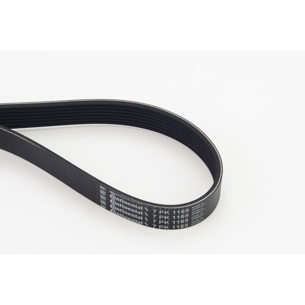 CONTINENTAL CTAM 7PK1165 Keilrippenriemen