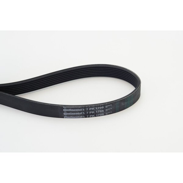 CONTINENTAL CTAM 7PK1705 Keilrippenriemen
