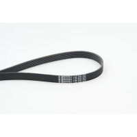 CONTINENTAL CTAM 7PK2061 Keilrippenriemen