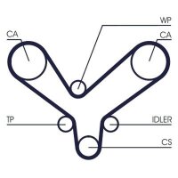 CONTINENTAL CTAM CT1175 Zahnriemen