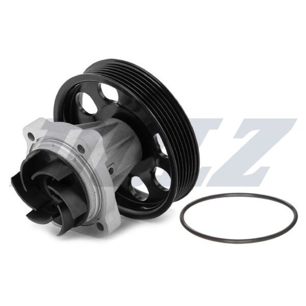 DOLZ N208 Wasserpumpe, Motorkühlung