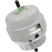 LEMFÖRDER 36233 01 Lagerung, Motor
