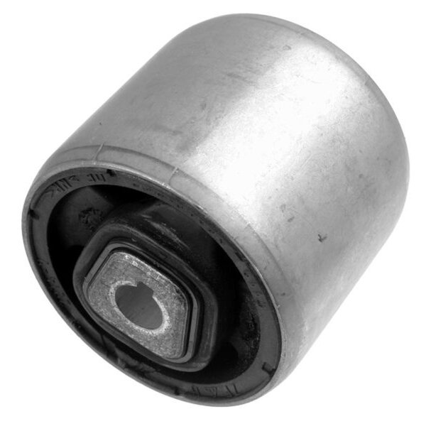 LEMFÖRDER 34644 01 Lagerung, Lenker