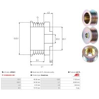 AS-PL AP0041 Riemenscheibe, Generator