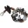 AS-PL SBH6011 Halter, Kohlebürsten