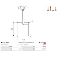 AS-PL SB3005 Kohlebürste, Starter