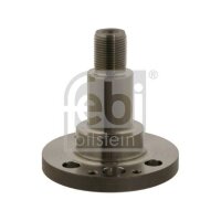 FEBI BILSTEIN 30501 Achszapfen, Achskörper