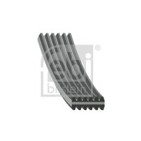 FEBI BILSTEIN 34460 Keilrippenriemen