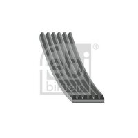 FEBI BILSTEIN 38245 Keilrippenriemen