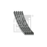 FEBI BILSTEIN 38445 Keilrippenriemen