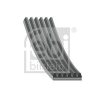 FEBI BILSTEIN 28933 Keilrippenriemen