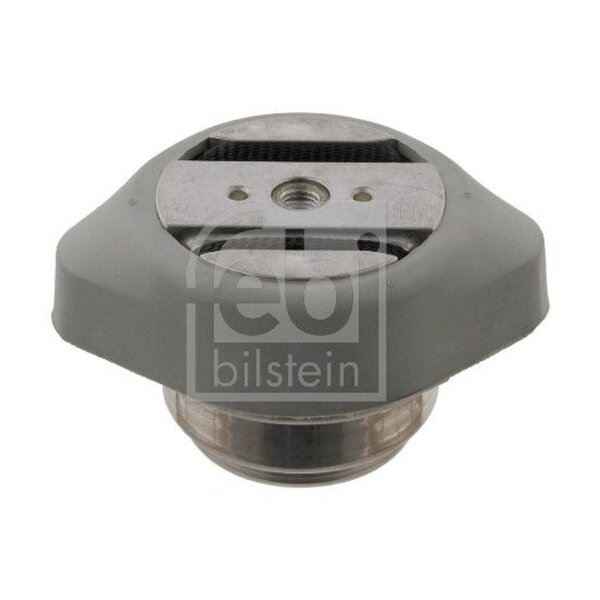 FEBI BILSTEIN 31980 Lagerung, Automatikgetriebe