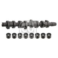 FEBI BILSTEIN 33195 Nockenwellensatz