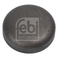 FEBI BILSTEIN 03199 Froststopfen