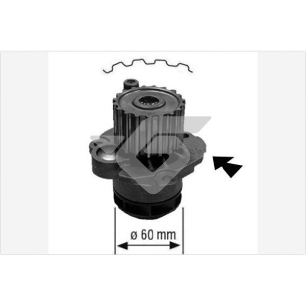 HUTCHINSON WP126 Wasserpumpe, Motorkühlung