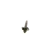 BOSCH 0 445 116 064 Einspritzdüse