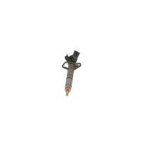 BOSCH 0 445 116 064 Einspritzdüse